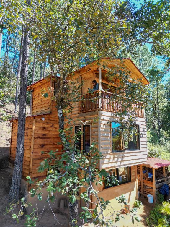 a man sitting on the balcony of a tree house at Casas Calenda in San Mateo Río Hondo