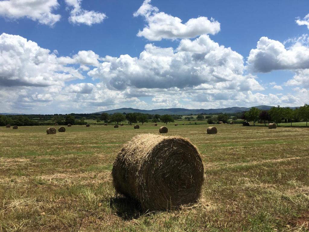 Príroda v okolí farmy