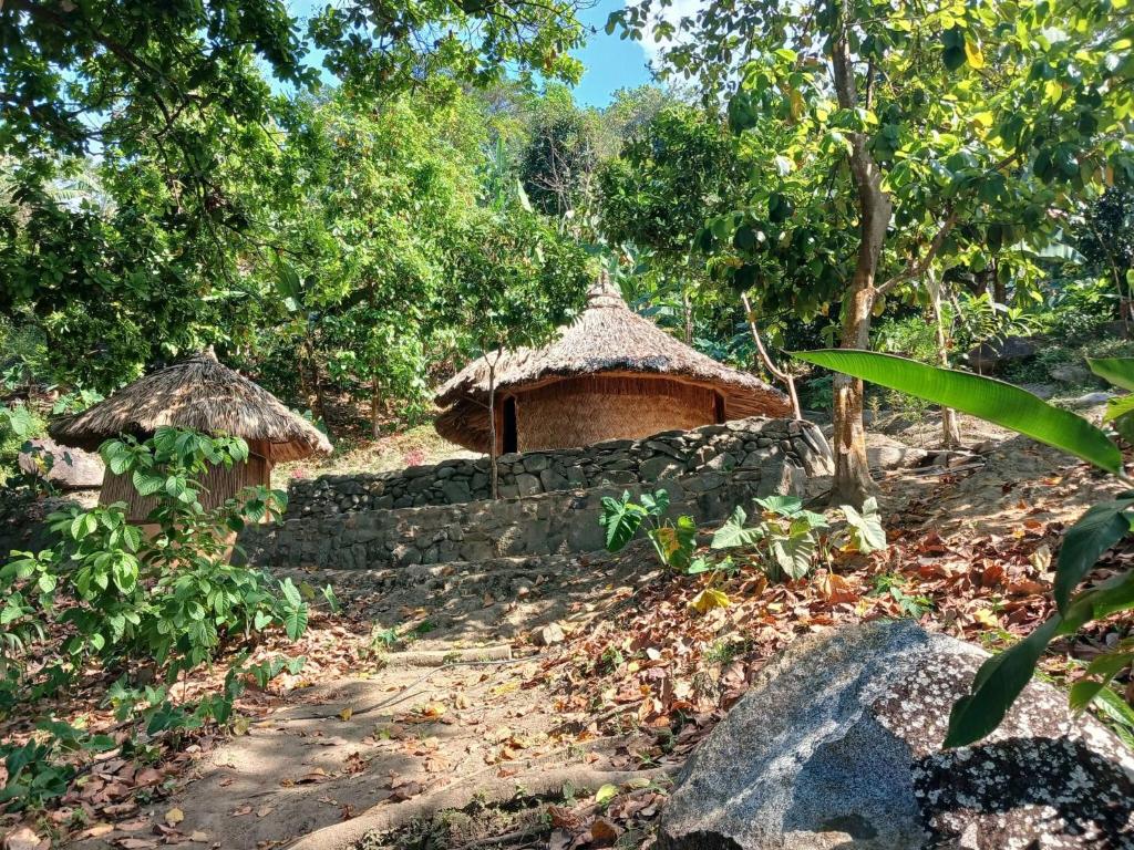 a couple of huts in a field with trees at Private jungle accommodation with waterfall in Minca