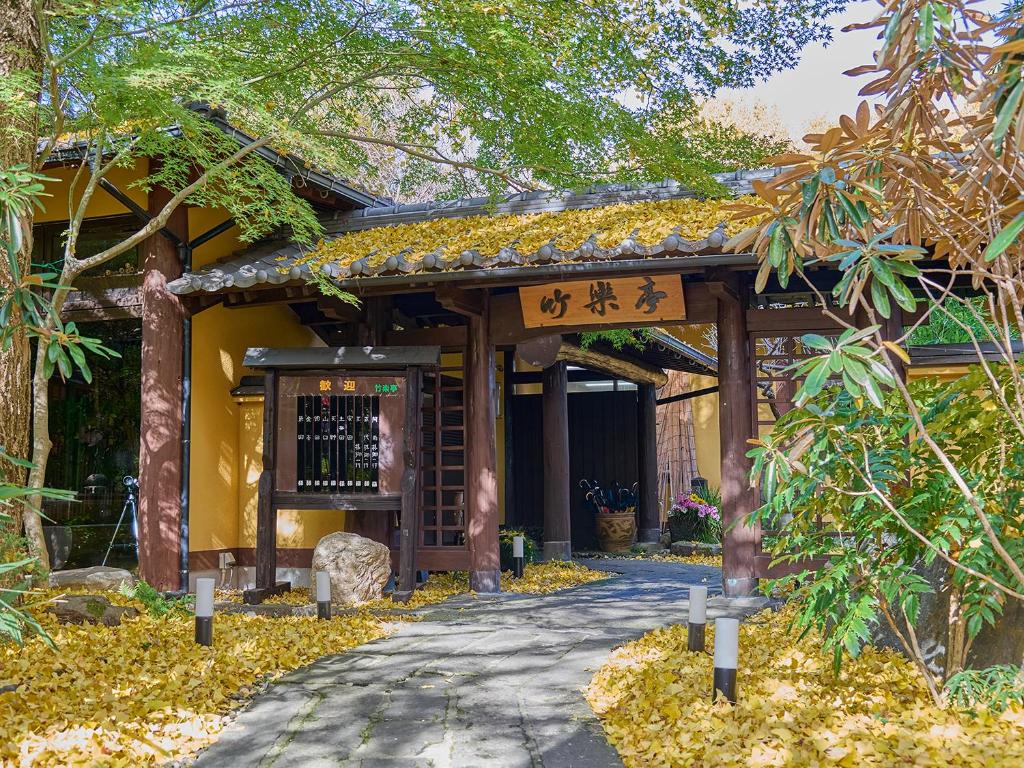 Vergrößerte Ansicht