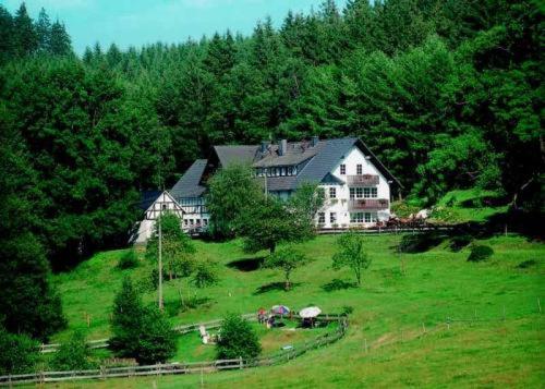 a large house on top of a green hill at Landgasthof Cafe Gut Ahe in Kirchhundem