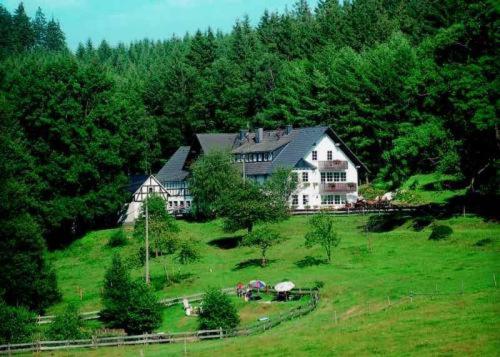 ein großes Haus auf einem grünen Hügel in der Unterkunft Landgasthof Cafe Gut Ahe in Kirchhundem