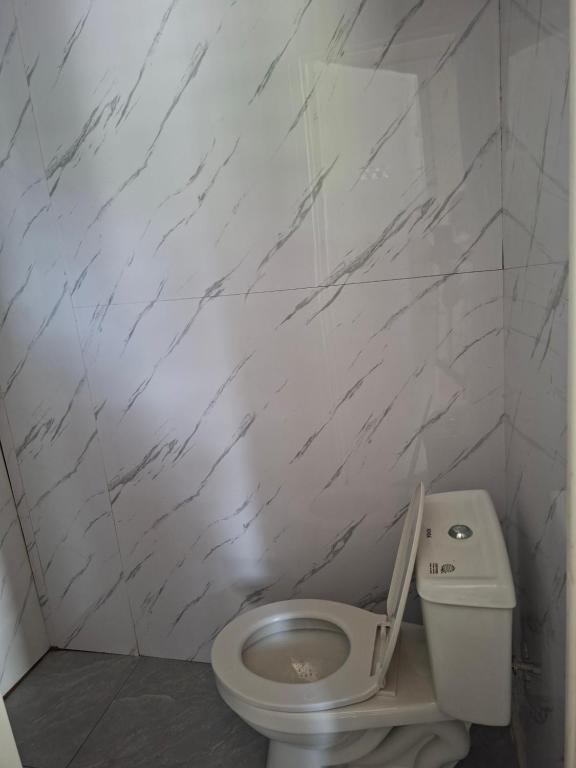 a white toilet in a bathroom with marble walls at Nancy's Place in Caniton