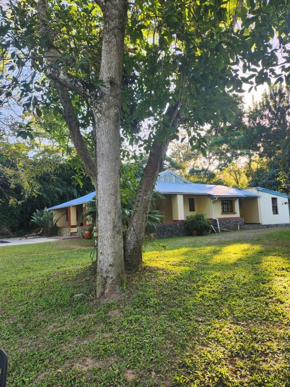 a house with a tree in front of it at Lavender farm home in Port St. Johns