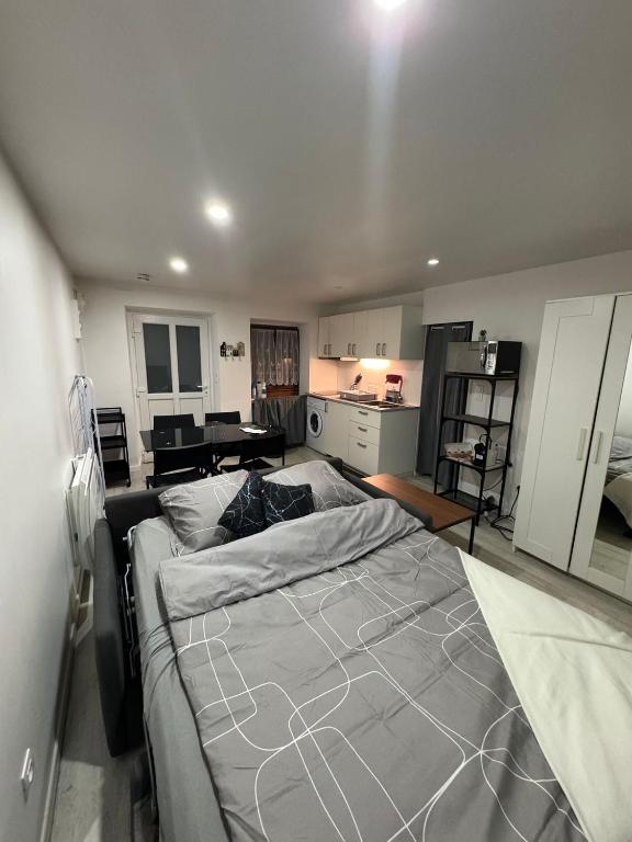 a bedroom with a large bed and a kitchen at Geneve Gaillard studio in Gaillard