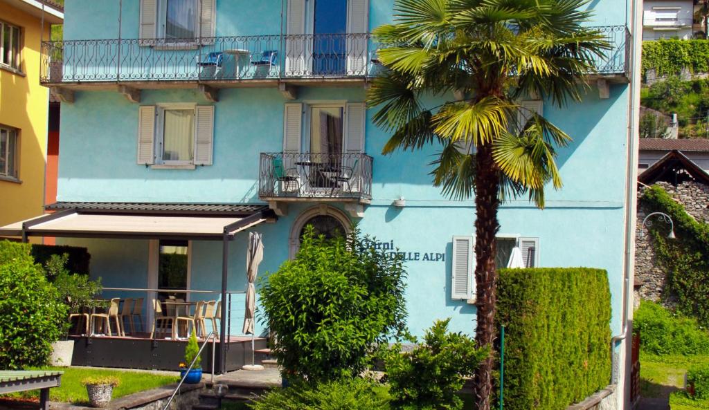 a blue building with a palm tree in front of it at Garni Rosa Delle Alpi in Gordola