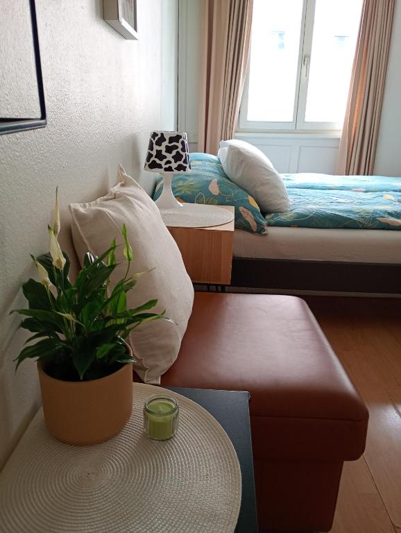 a room with two beds and a table with a plant at Central tiny studio in St. Gallen