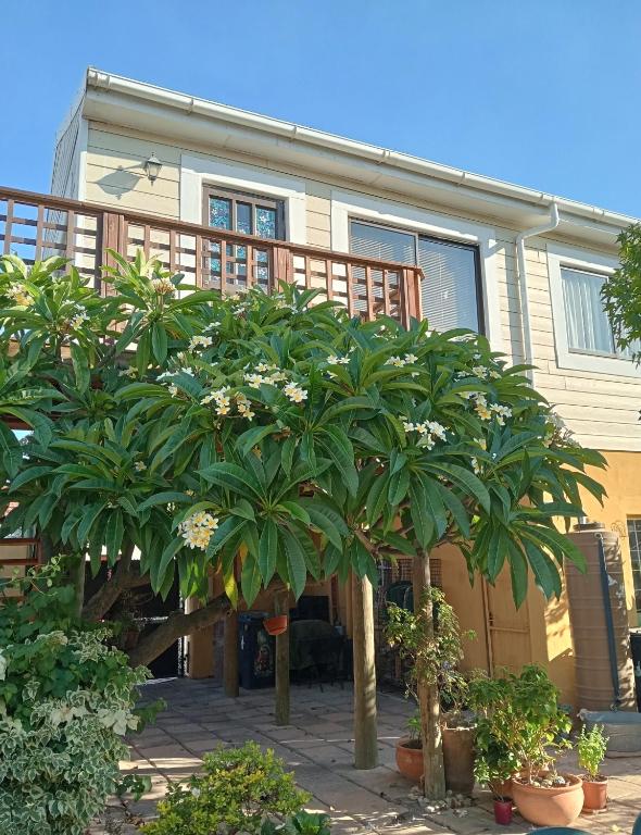 a house with palm trees in front of it at The Wee Hoose in Strand