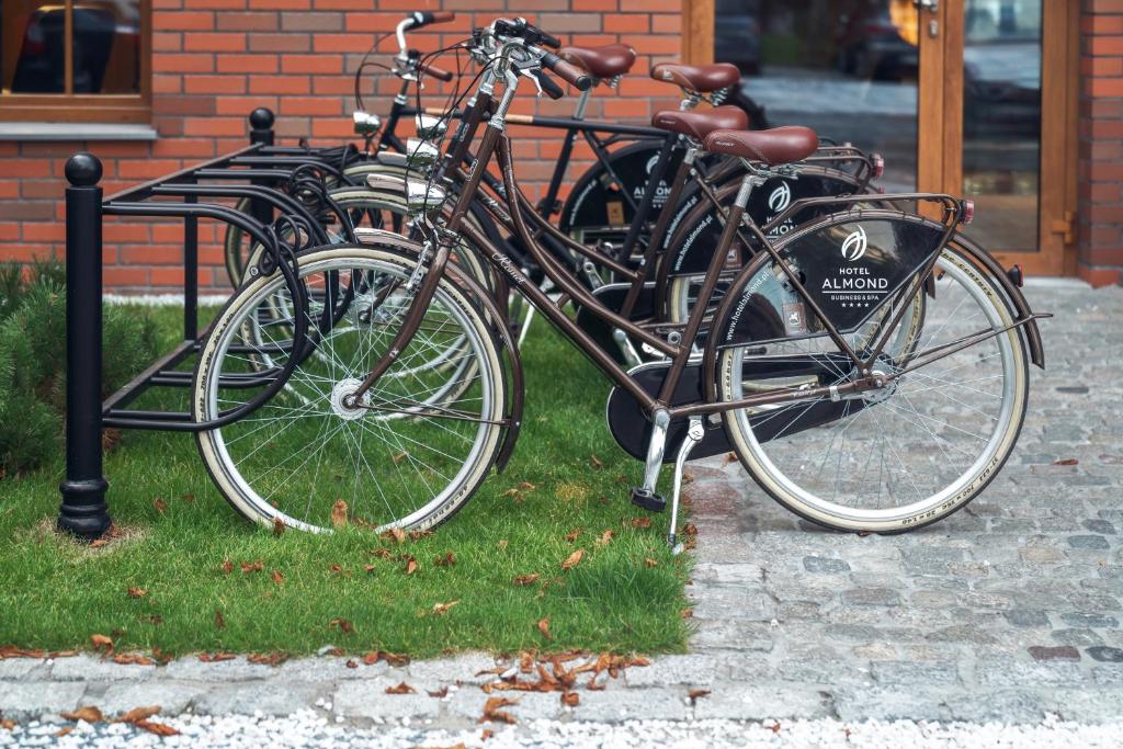 Jazda na bicykli v okolí ubytovania HOTEL ALMOND BUSINESS & SPA BY GRANO - GRANO HOTEL Gdańsk Riverside