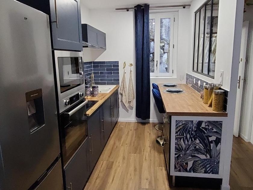 a kitchen with a stainless steel refrigerator and a counter at L'écrin de Nature T2 Centre Historique in Auxerre