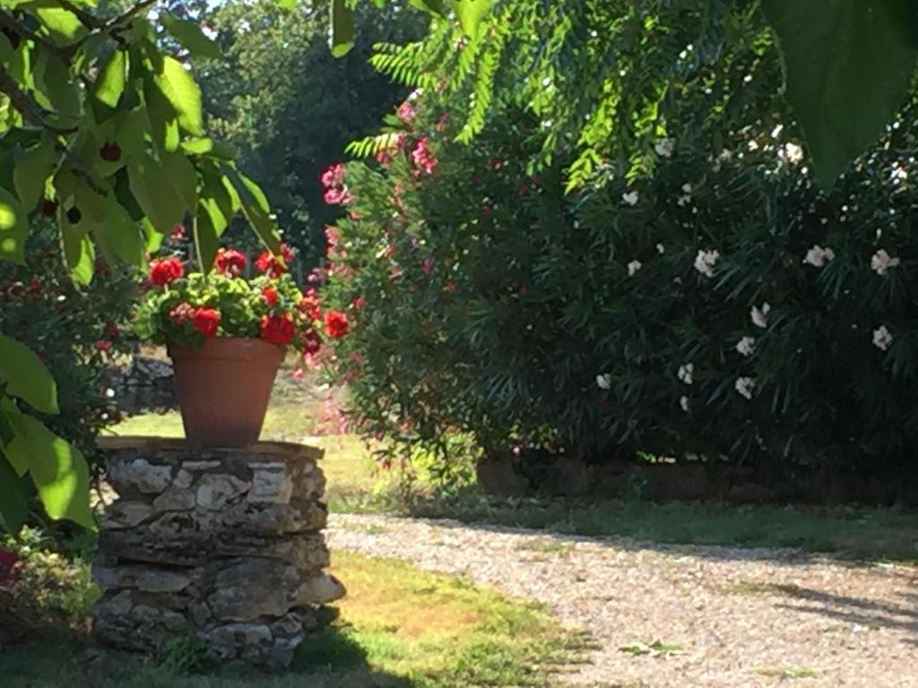 Zahrada ubytování Podere Conte Ràcani