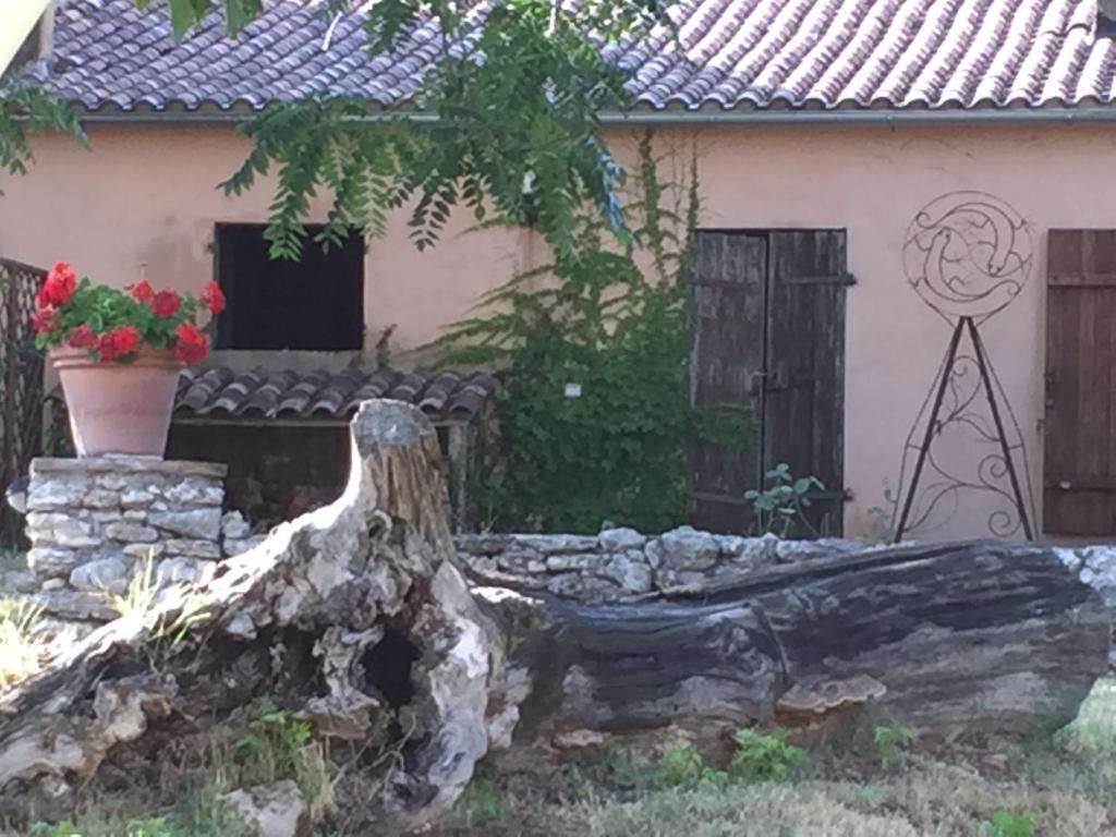 Zahrada ubytování Podere Conte Ràcani
