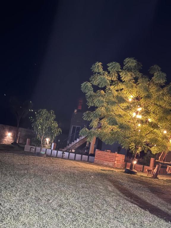 a tree with lights in a park at night at Genk Farmhouse in Kwatiakwa