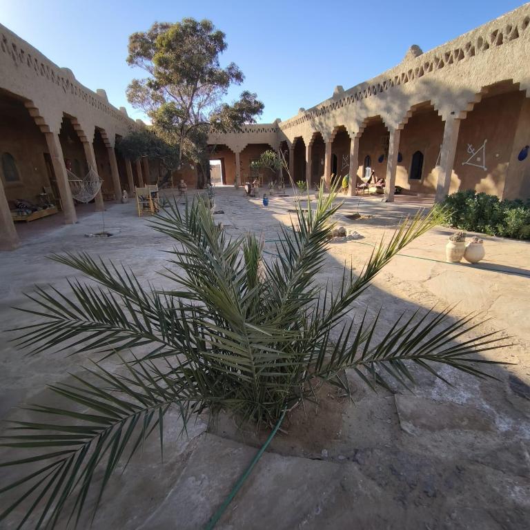a palm tree in the middle of a courtyard at Auberge Itrane merzouga in Merzane