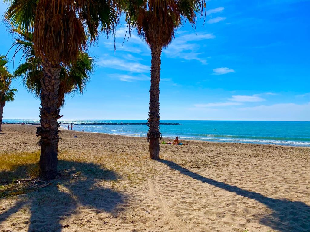 two palm trees on a sandy beach with the ocean at Casa Pera Ático duplex 1ª in Chilches