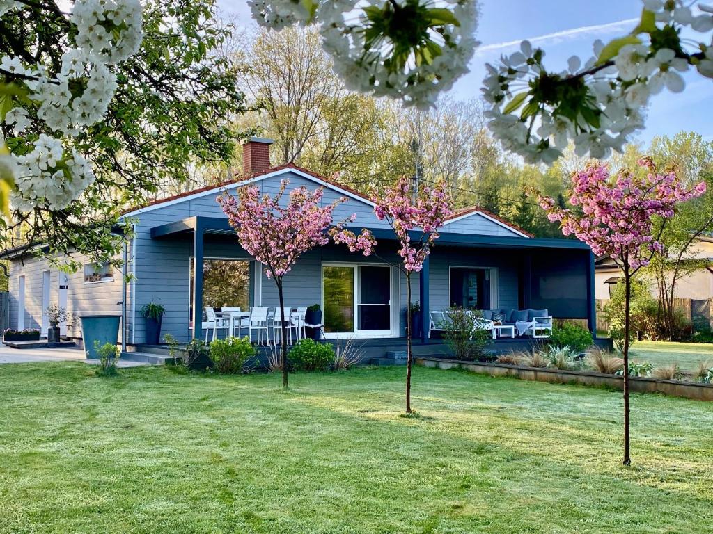 a blue house with two trees in the yard at Haus am See Waterfront 5 Elbe Elster in Rückersdorf