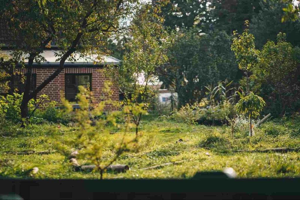 a yard with a brick house and trees and grass at Ferienwohnung in Möllenhagen