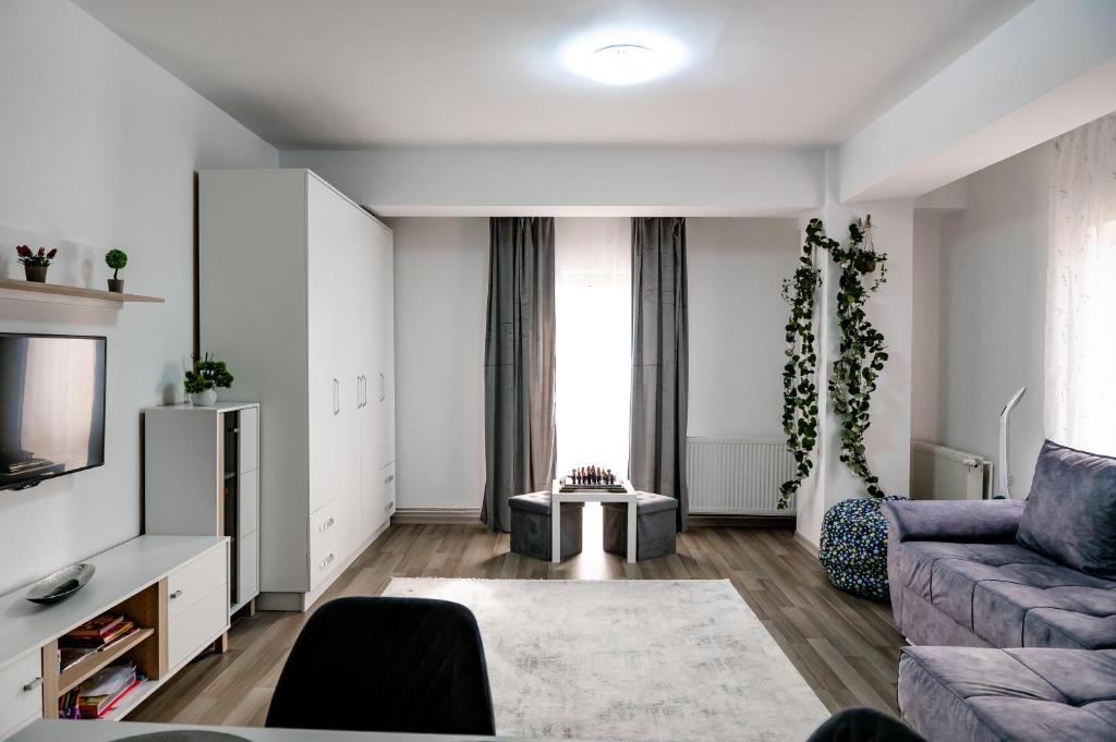 a living room with a couch and a tv at New Airport Apartment in Sibiu