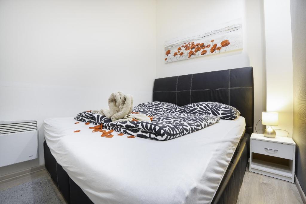 Apartmán v blízkosti centra Brna - 19