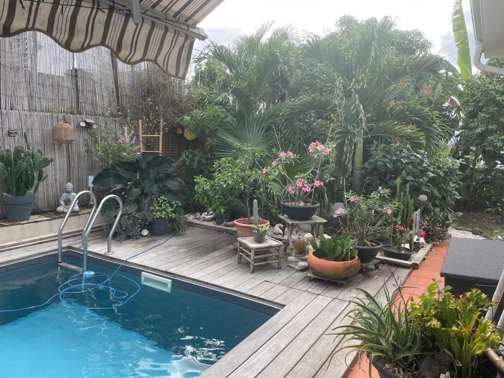 a patio with a swimming pool and a bunch of plants at Casefilo in Sainte-Luce