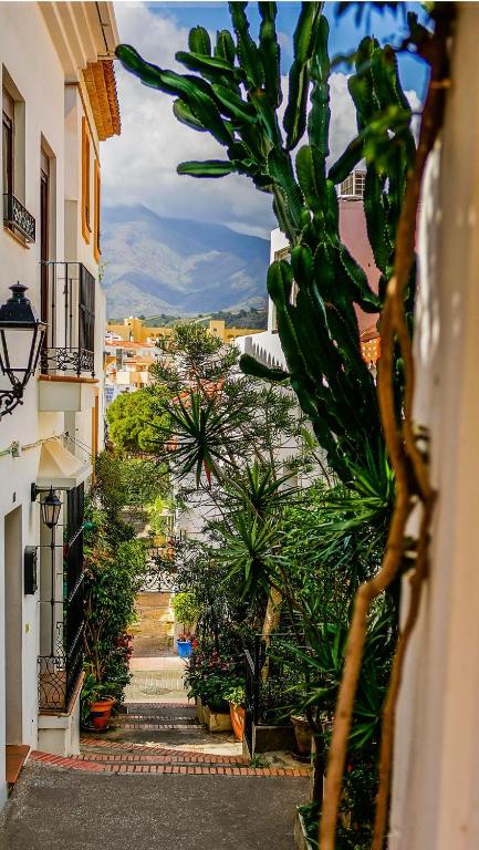 Casa de Cactus, Estepona (updated prices 2026)