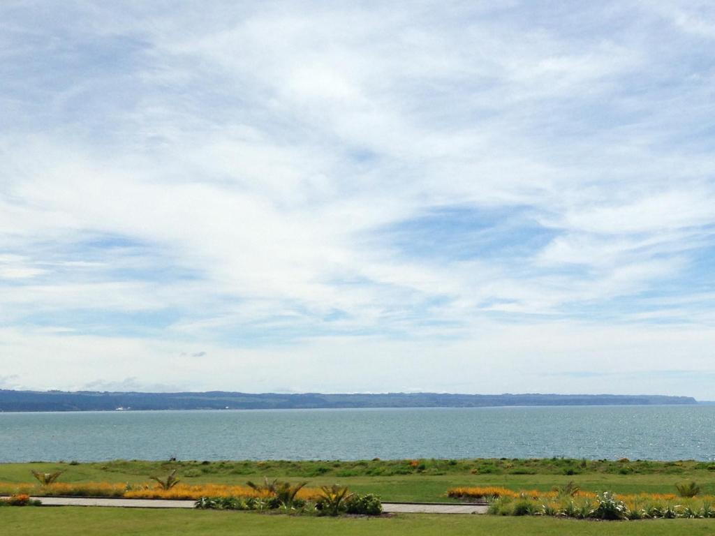 Harbour View Motel on Ahuriri Beach in Napier NZ with sea view suites - Resim 10