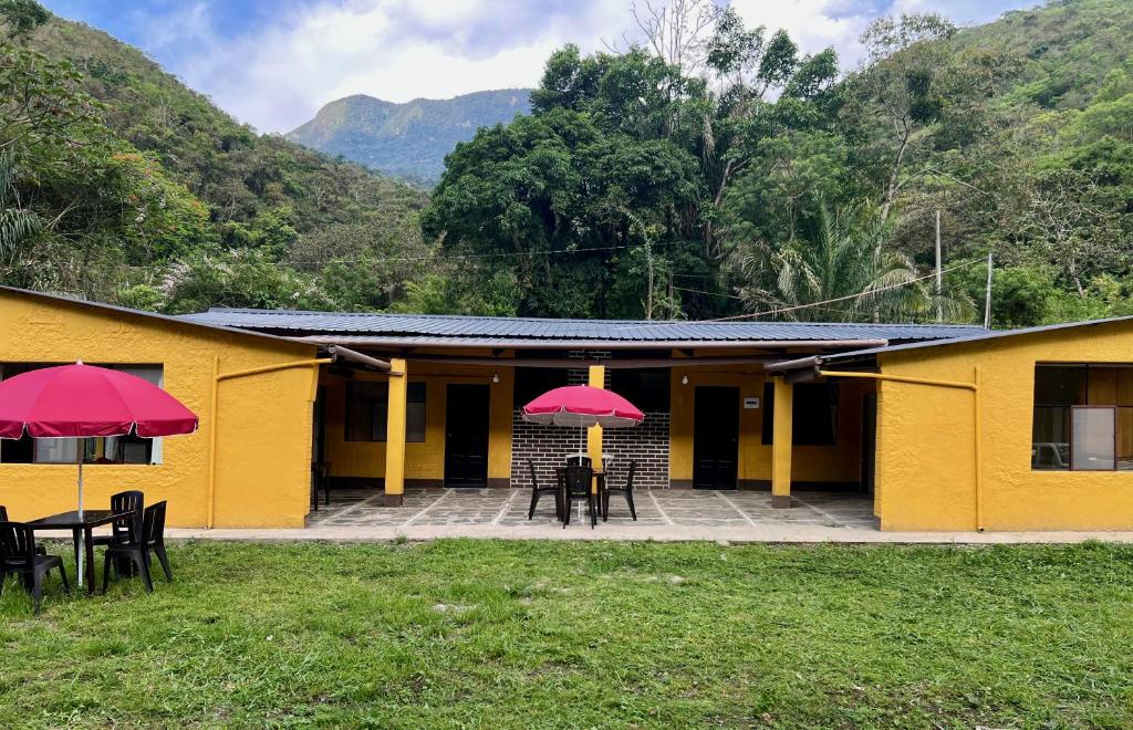 El Bambuzal