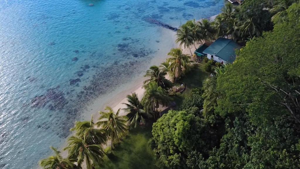 an aerial view of a beach with palm trees at Eli Beach House in Vaiorea