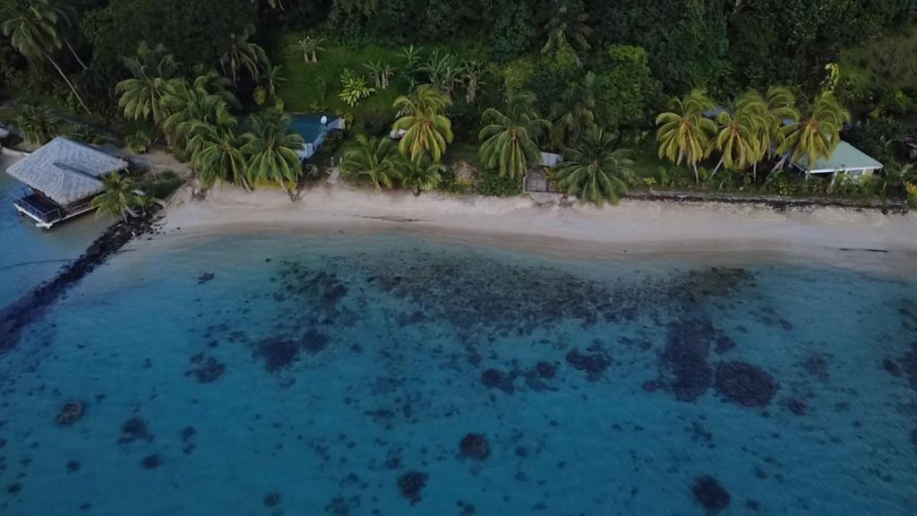 Eli Beach House - photo 12 - Huahine, Polynésie