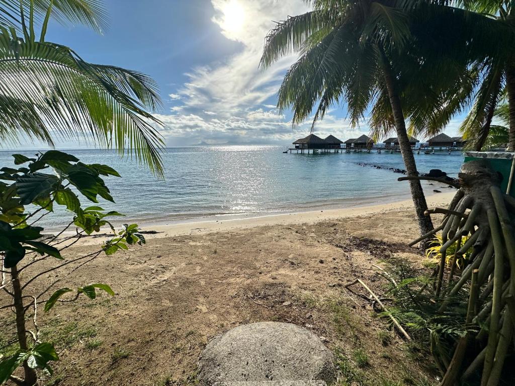 Eli Beach House - photo 11 - Huahine, Polynésie