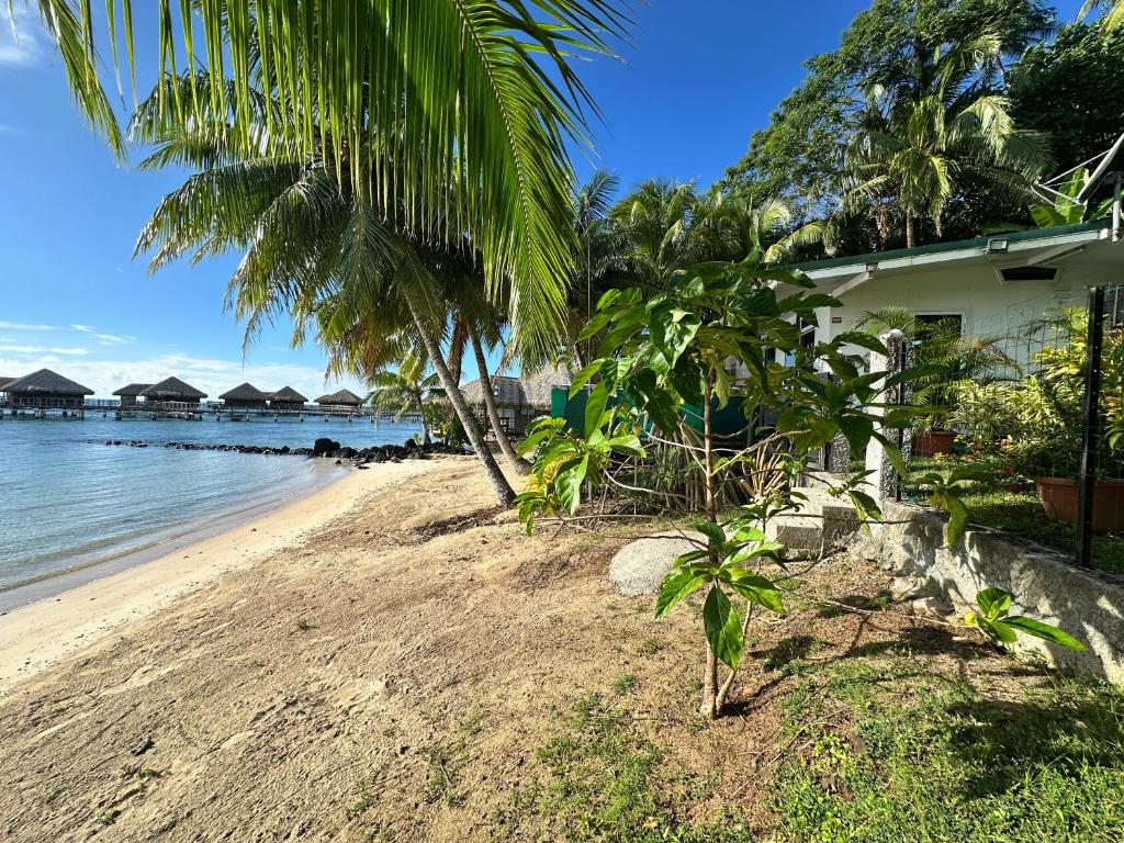 Eli Beach House - photo 7 - Huahine, Polynésie