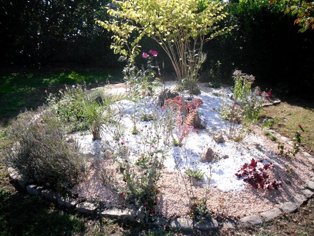 - un jardin avec des fleurs et des rochers dans une cour dans l'établissement Le Vallon de Paray, à Paray-le-Monial