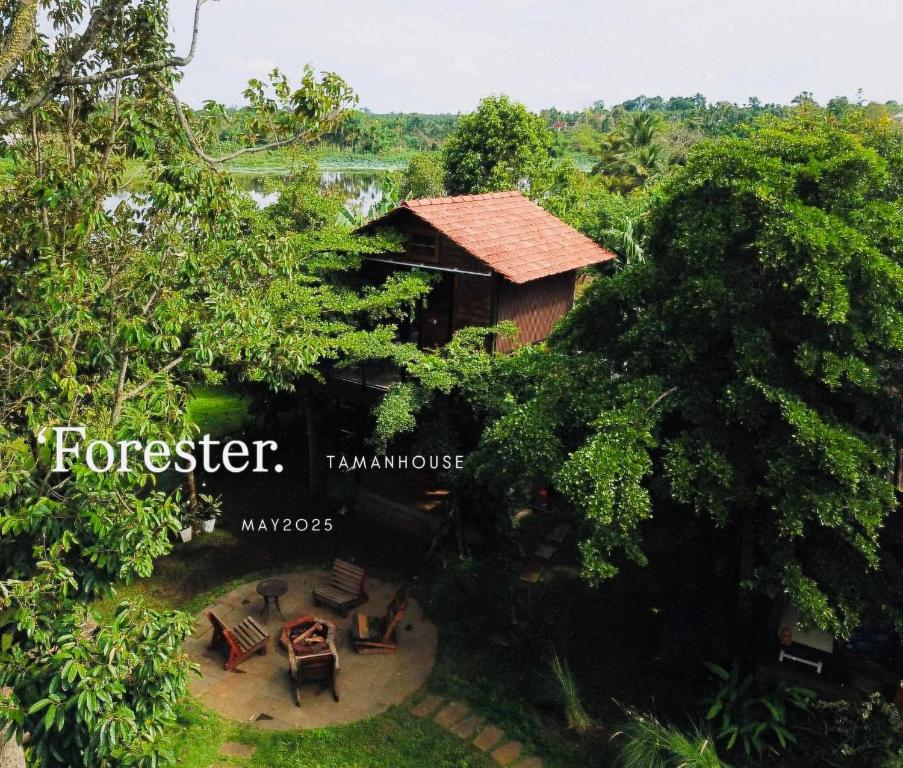 an aerial view of a house in the jungle at The Forester Chalet in Buôn Pưk Prong