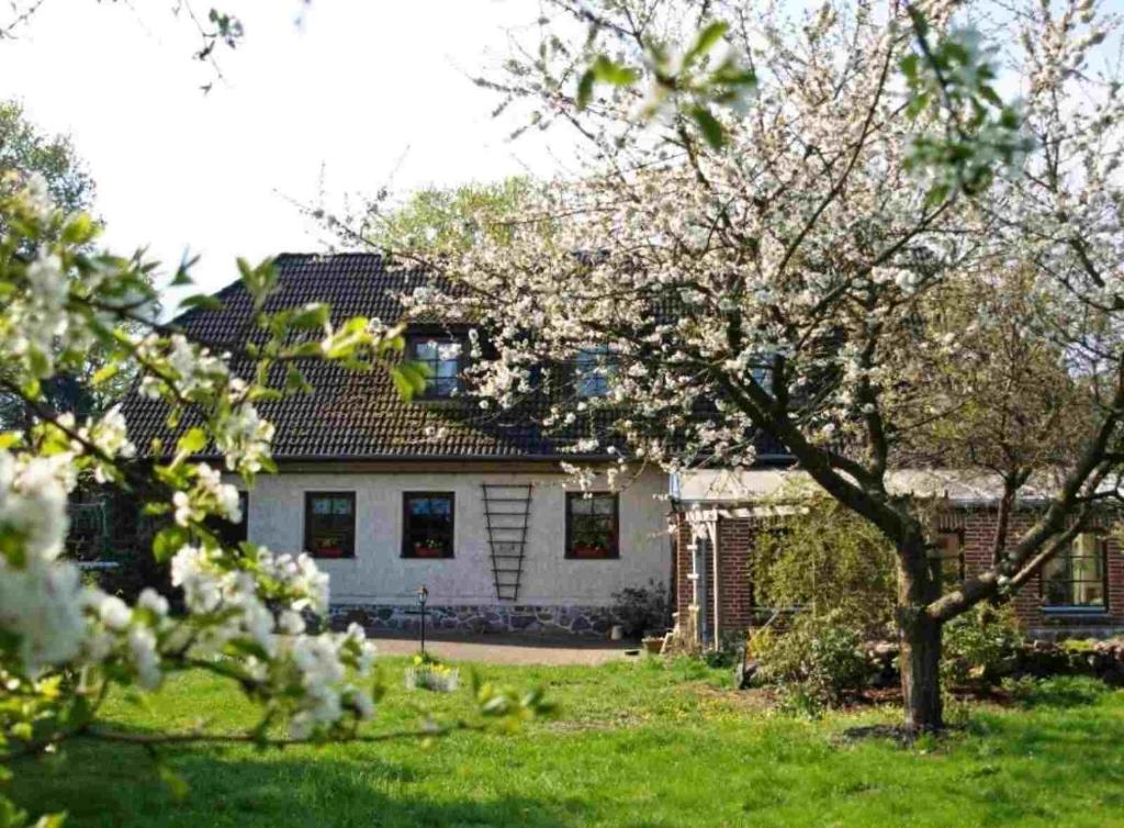 a house with a flowering tree in the yard at Doppelzimmer mit Bad in Möllenhagen