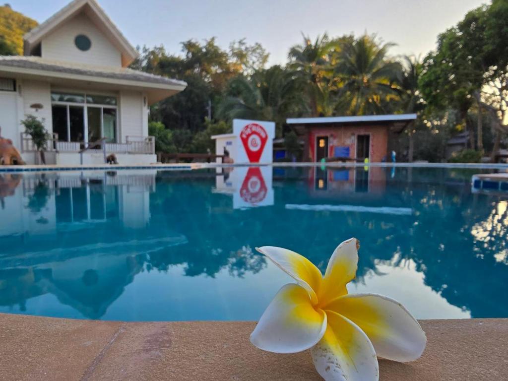 a yellow and white flower sitting next to a swimming pool at ขวัญใจปราณ รีสอร์ท in Ban Pak Nam Pran