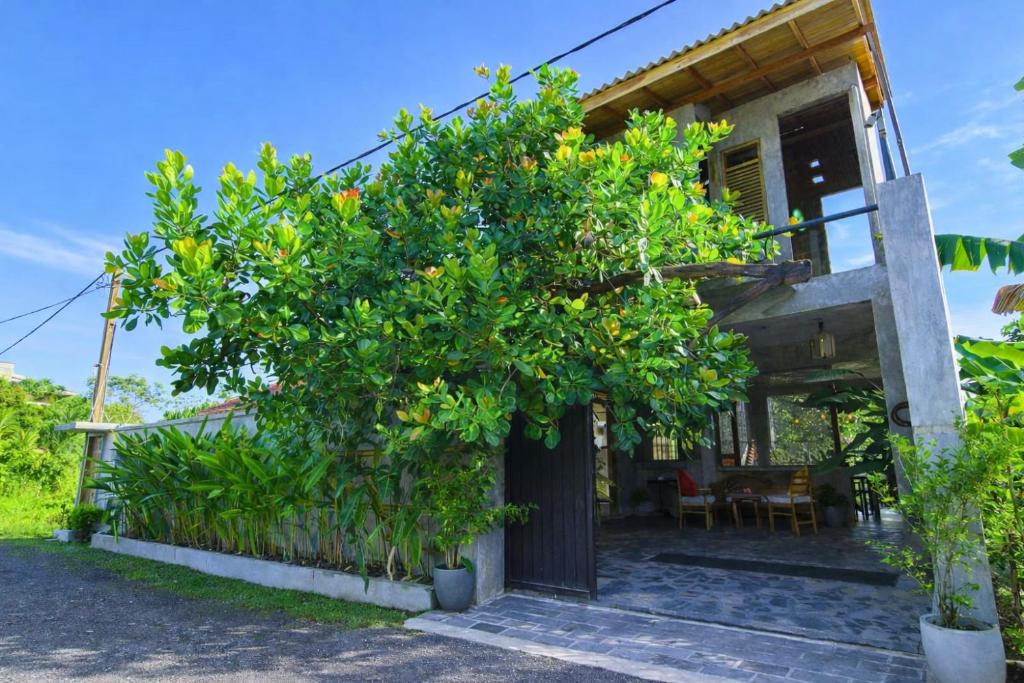 a house with a large tree in front of it at Cinnamon Villas in Ambalangoda