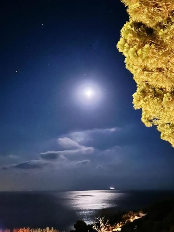 a view of the moon and the ocean at night at VILLA MARELUNA - near the beach , family residence pet friendly ! in Capo Vaticano
