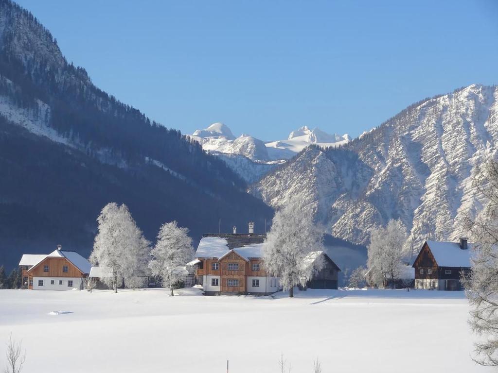 Stangl - Hof - Housity