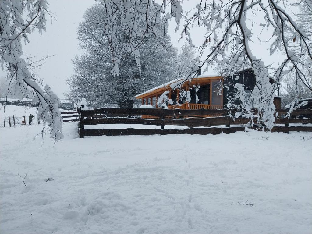 a house in a yard covered in snow at Cabaña Lefuco, Curacautin in Manzanar