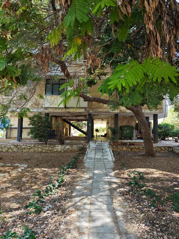 a walkway in front of a building with a tree at Small cozy room in a duplex in Bat Yam