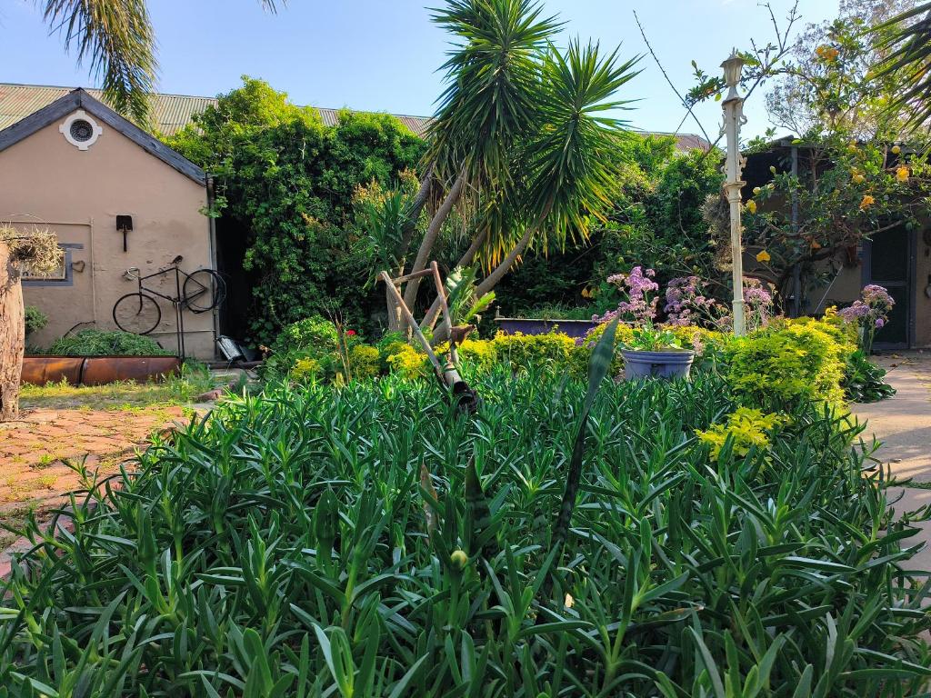 a garden with plants and flowers in front of a house at The Hermon Hotel in Hermon