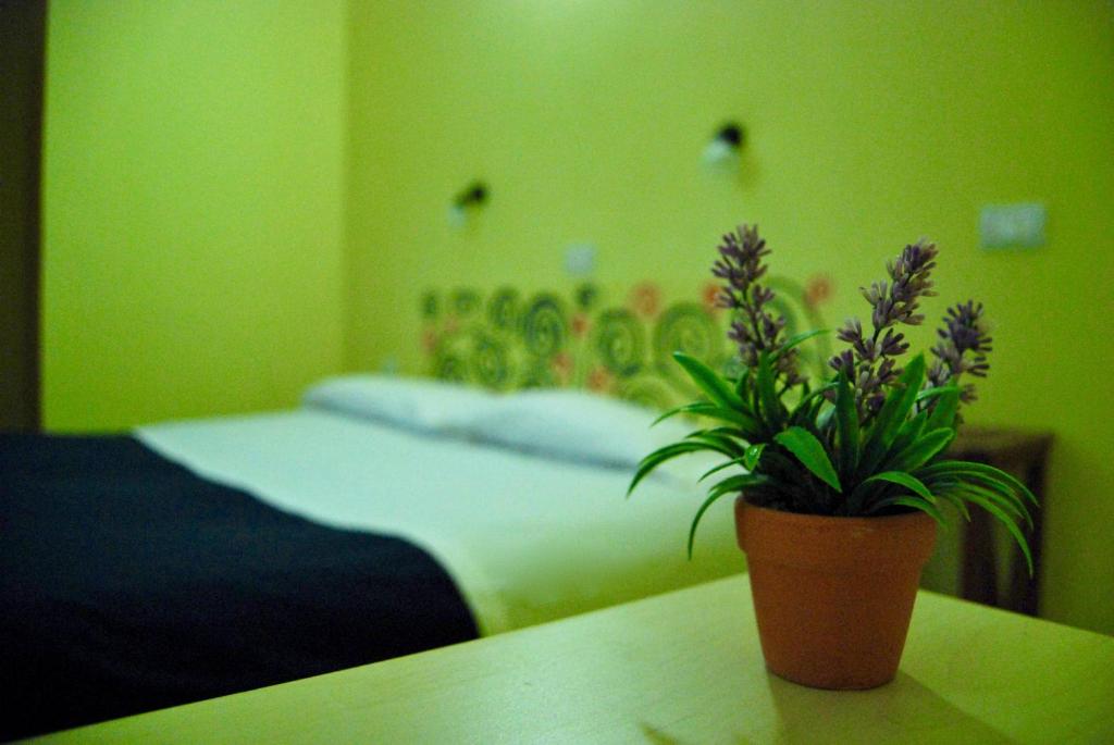 - une chambre avec un lit et une plante en pot sur une table dans l'établissement Albergo Teatro, à La Spezia