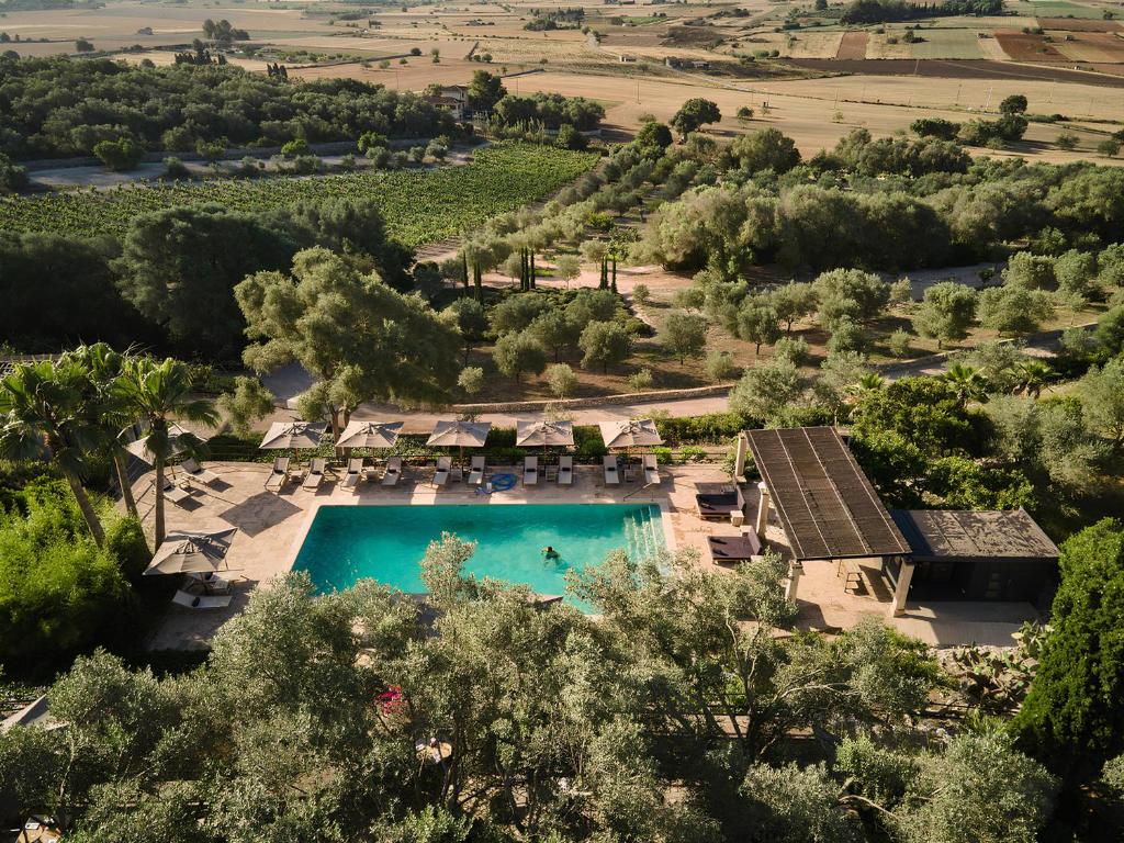 an aerial view of the villa with a pool and trees at Finca Serena Mallorca, Small Luxury Hotels in Montuiri