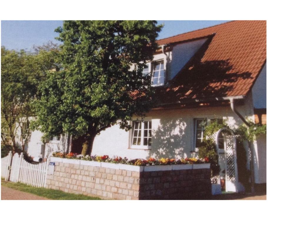 a white house with a brick wall with flowers at Pension An der Bleiche in Wustrau