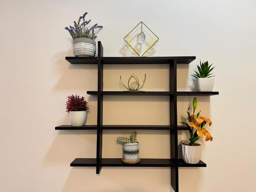 a black shelf with potted plants on a wall at The Petrance Apartment in Cape Coast