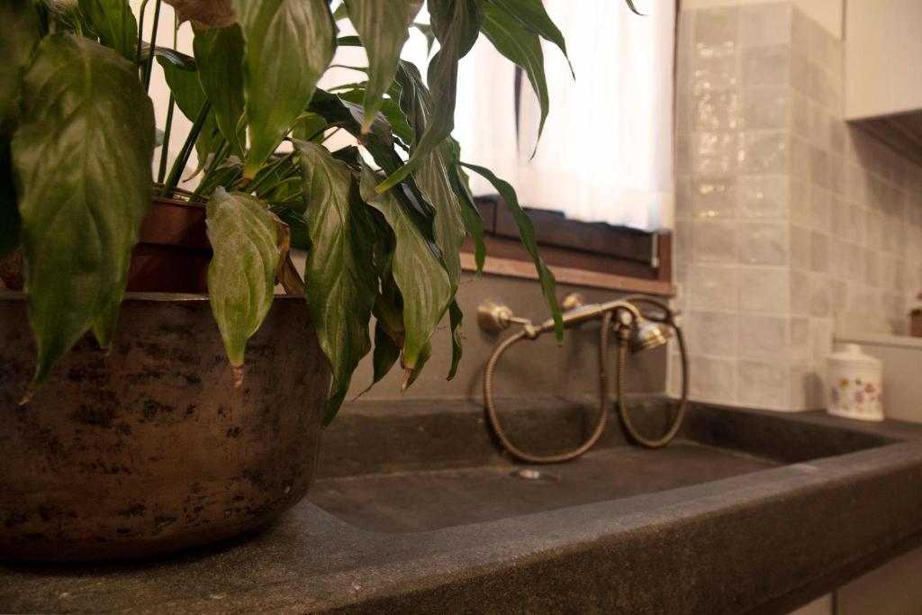 Il Casale Naturart