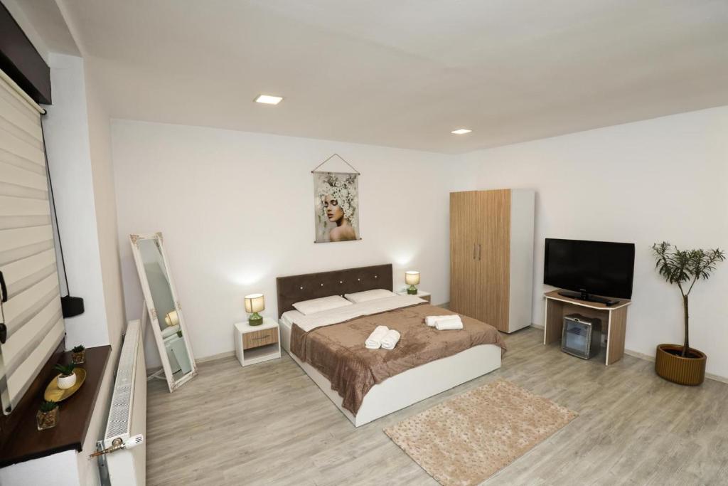 a bedroom with a bed and a flat screen tv at Danser Residence Reșița in Reşiţa