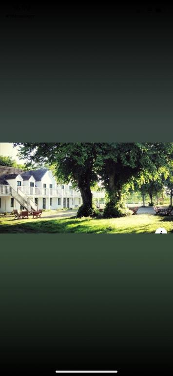 a large white building with a tree in front of it at Nygaard Livsnyderi in Læsø