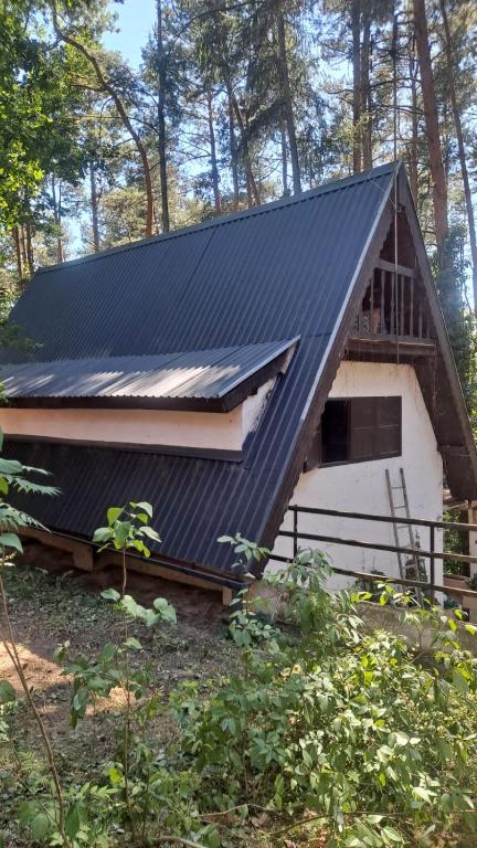a metal roof on a house in the woods at LeśnyZakątekNysa in Skorochow
