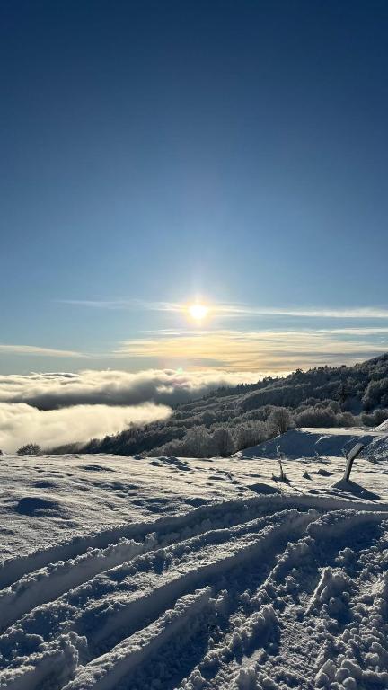 AETIA -TSIOURGIAKA MPATSILAS Group